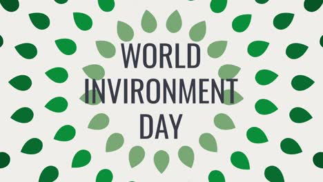 animación conceptual del día mundial del medio ambiente en un fondo blanco con hojas verdes. concepto de ecología telón de fondo animado