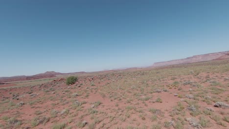 experience the thrill of aerial fpv motion as it explores the breathtaking indian creek desert on a sunny day
