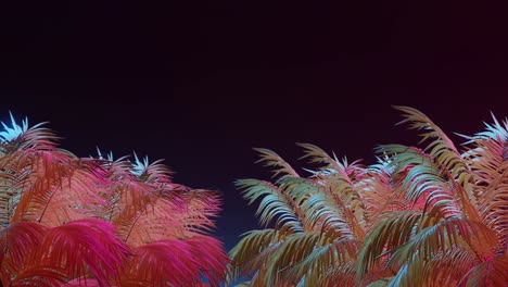 Colorful-tropical-palm-fronds-against-dark-background