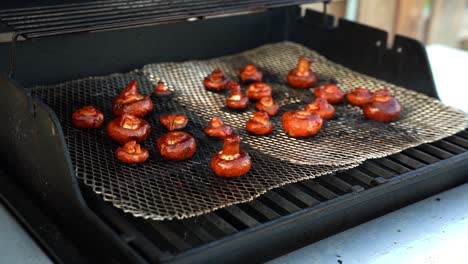 White-mushrooms-sizzling-on-smoking-charcoal-backyard-grill,-barbecue-basted