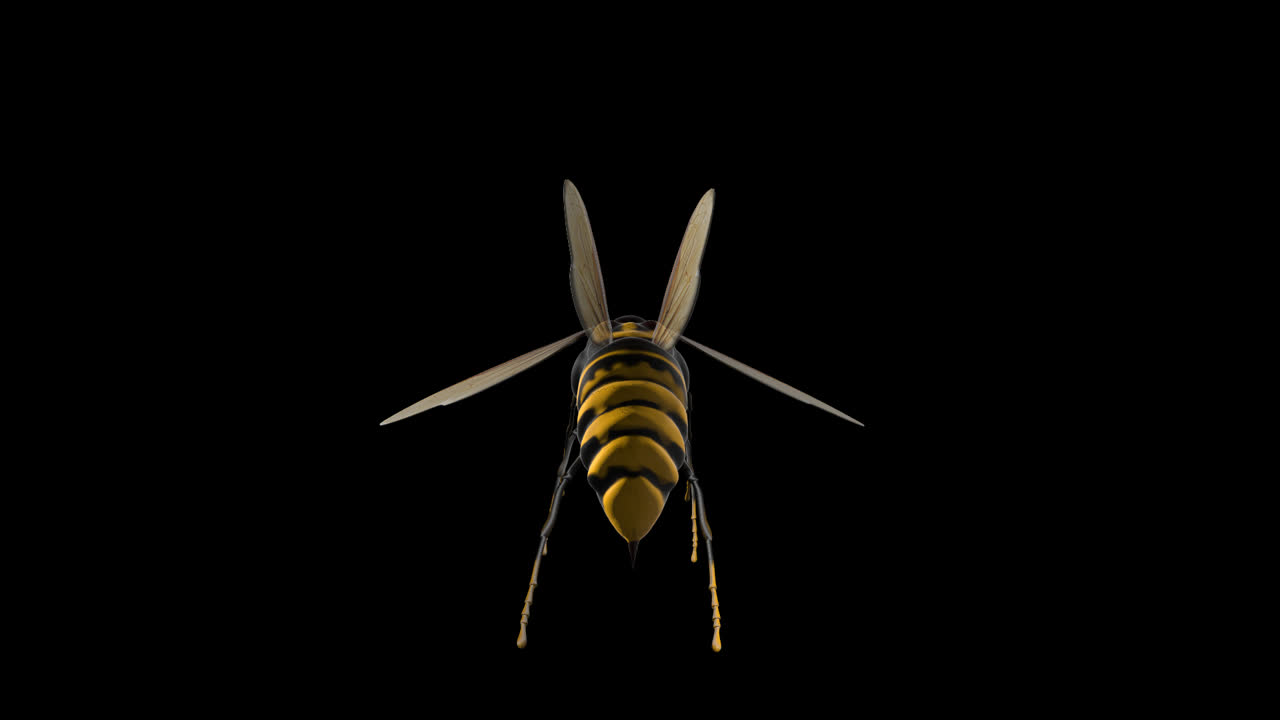 Hoverfly With Alpha Channel