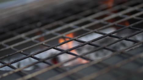 barbecue grill flames burning close-up