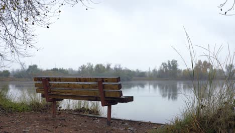 snowfall over a park bench