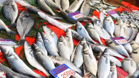 fresh fish at a turkish market