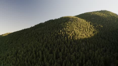 Drohnenaufnahme,-Die-Die-Goldenen-Farbtöne-Eines-Sonnenuntergangs-In-Colorado-Einfängt-Und-Einen-Warmen,-ätherischen-Glanz-über-Eine-Weite-Fläche-Mit-Kiefern-Bewachsener-Berge-Wirft