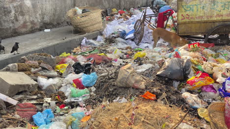 Streets-of-concrete-city-filled-with-trash