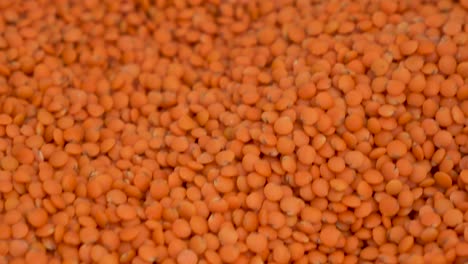 a lot of lentils on the market close-up. the camera moves.