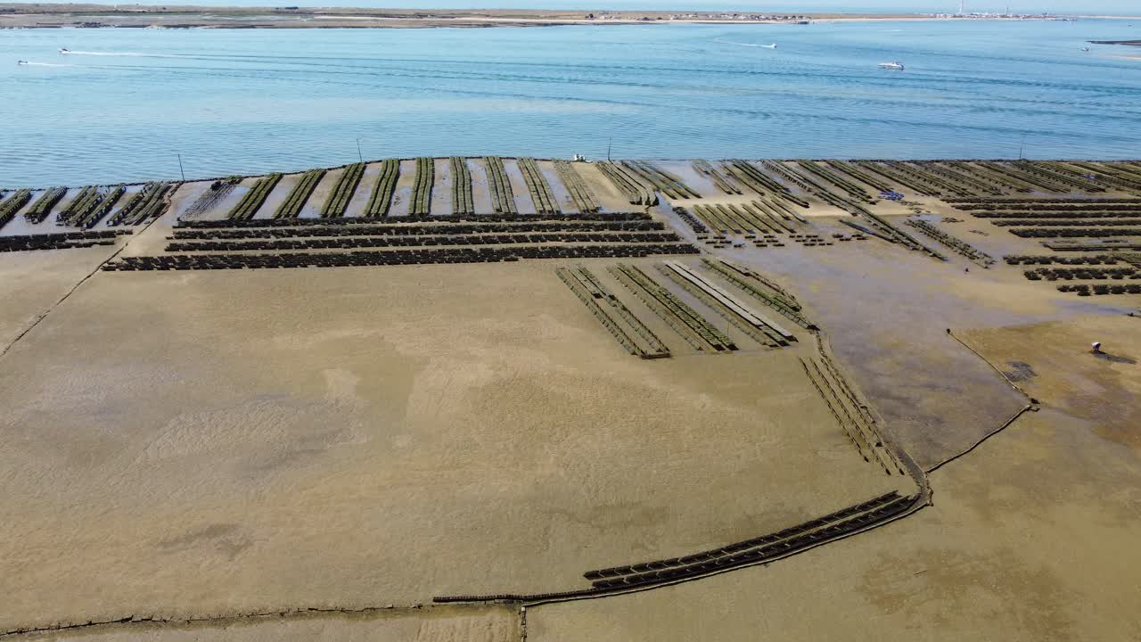Ria Formosa riverbed with shellfish production and yachts anchored in the river