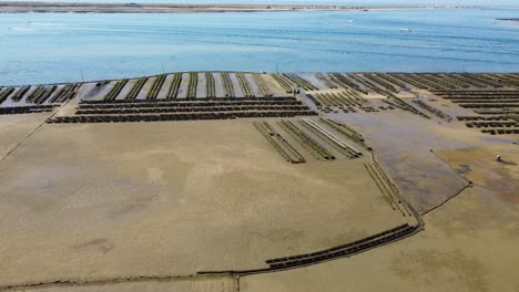 ria formosa riverbed with shellfish production and yachts anchored in the river