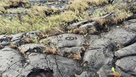 tomada amplia de las tallas de roca de lava en el parque nacional de los volcanes de hawai