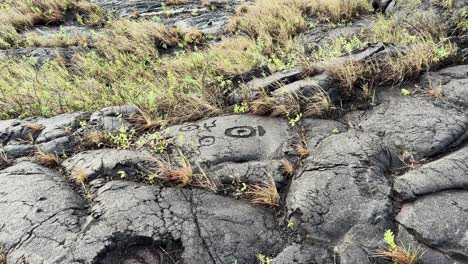 wide shot of lava rock carvings in hawaii's volcanoes national park