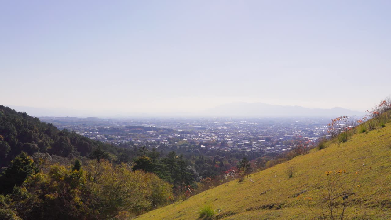 나라에서 가장 좋은 전망