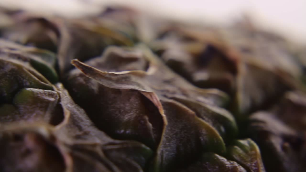 primer plano macro de ananas de piña sobre un fondo blanco-1