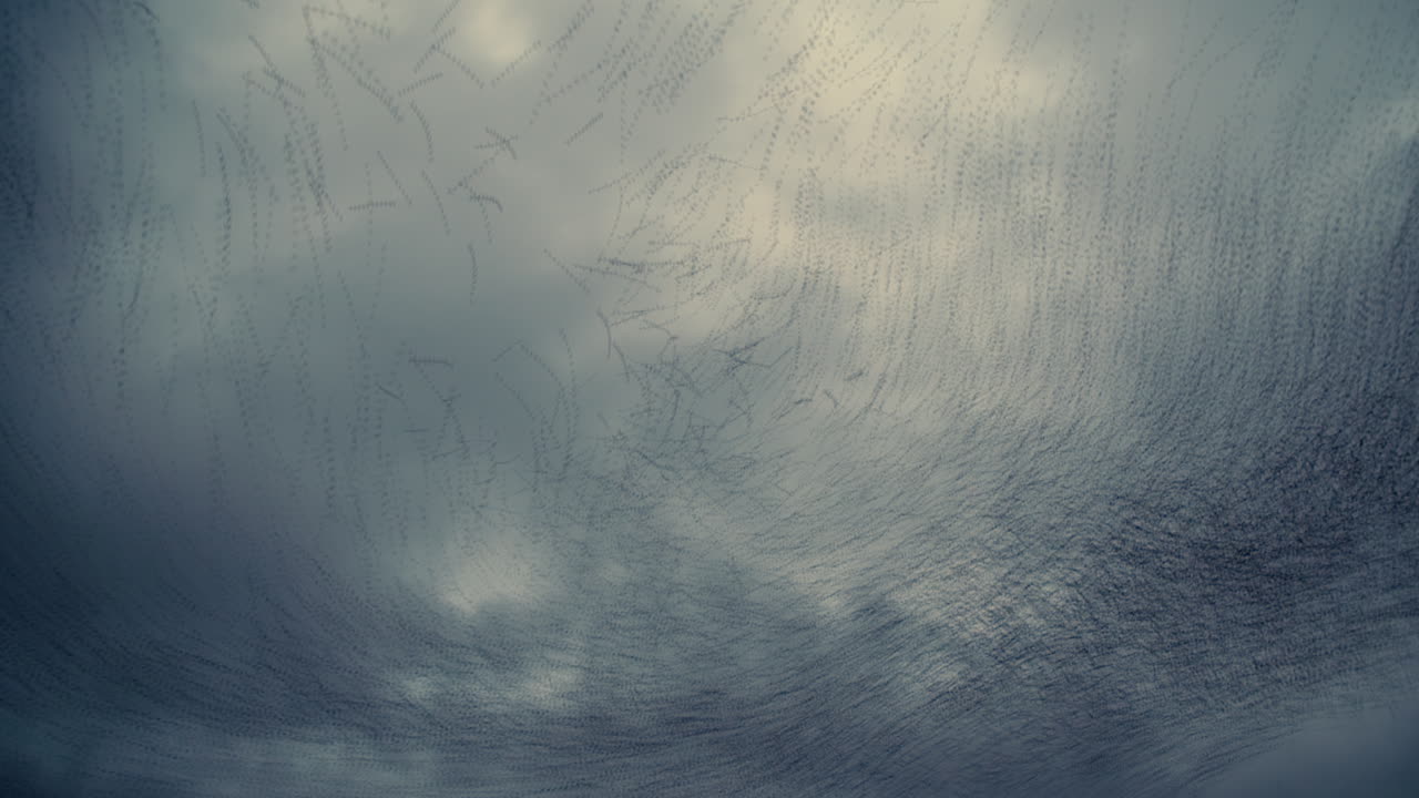 efecto de estelas de movimiento de murmuración de estornino con fondo nublado en movimiento