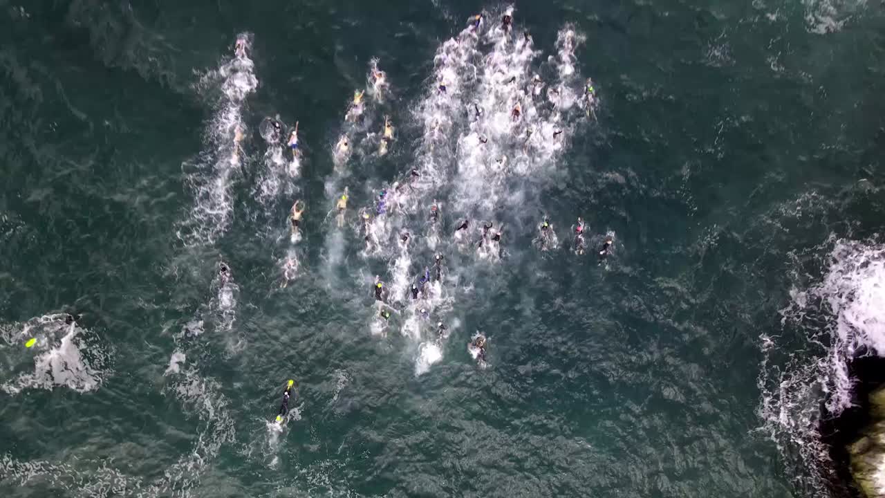 A large group of open water swimmers start their race