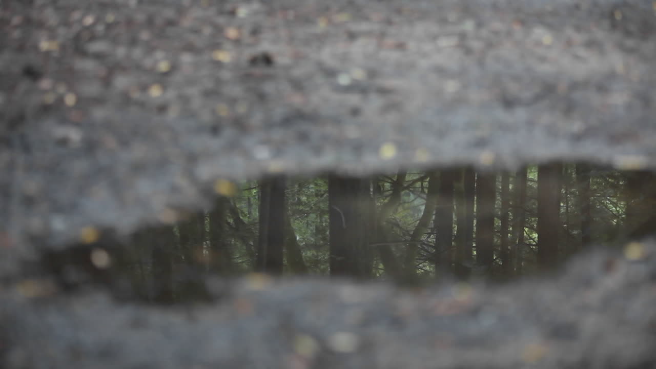 한 여성이 수십 개의 머릿단 이미지를 반영하는 웅덩이를 조깅하고 있습니다.