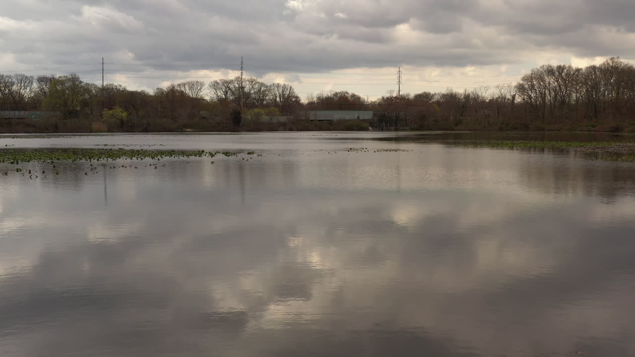 흐린 날 마른 나무로 둘러싸인 조용한 호수 위의 드론 보기