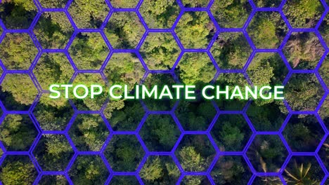 stop climate change motivational text in dense jungle forest trees during sunrise