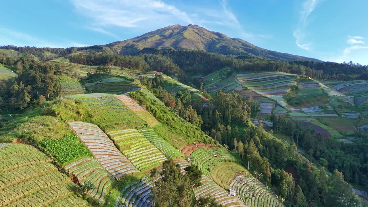 Stunning aerial panorama of tropical mountain with agricultural terraces, forest valleys with blue sky.Beautiful Mount Sumbing, Indonesia
