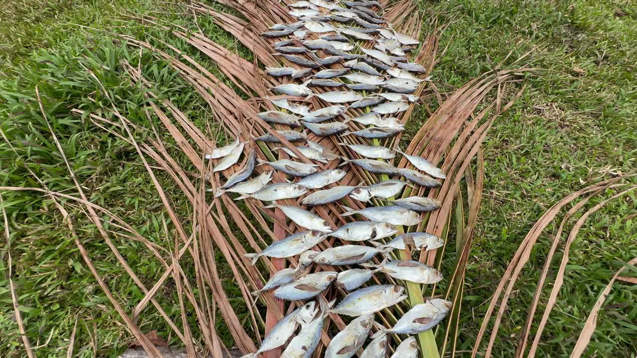 Kalojen luonnollinen kuivaaminen auringossa Masoalan kylässä. Madagaskar.