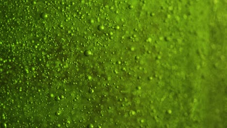 macro shot of liquid soap