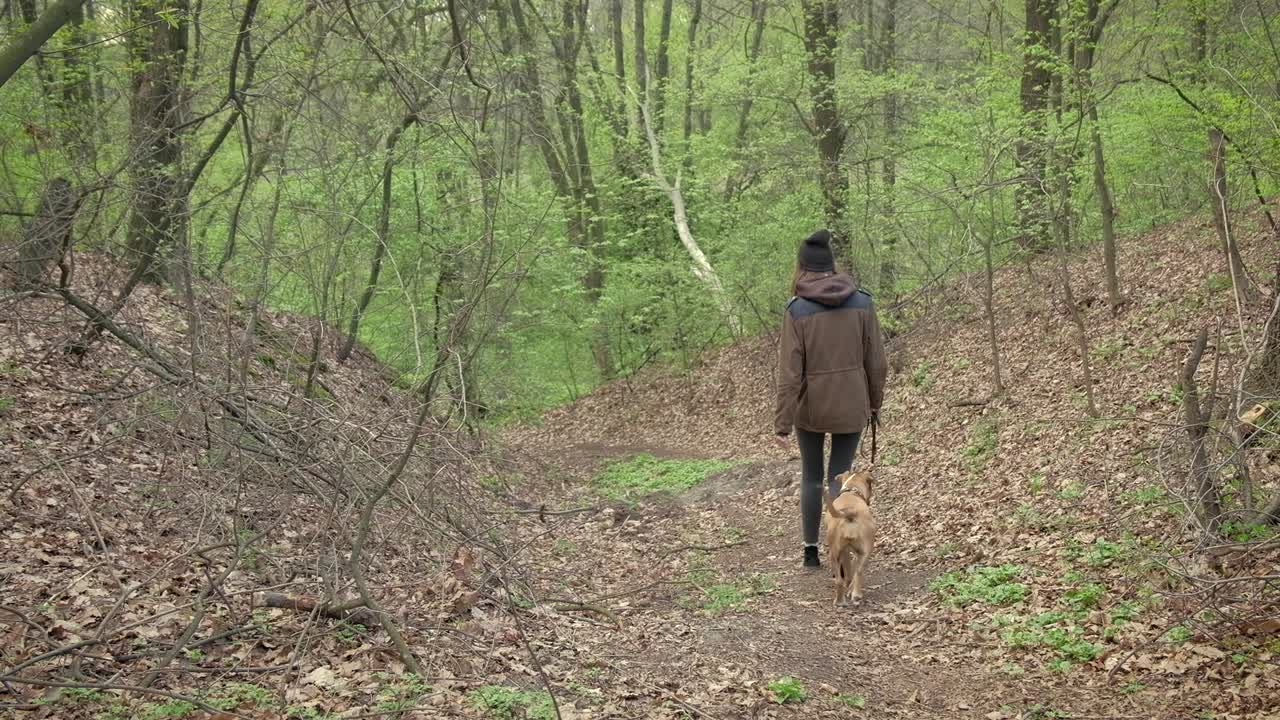 하이커 소녀와 개는 아름다운 봄 숲에서 언덕을 내려갑니다.