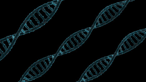 DNA-Symbol,-Nahtloses-Schleifenanimationsvideo,-Transparenter-Hintergrund-Mit-Alphakanal.