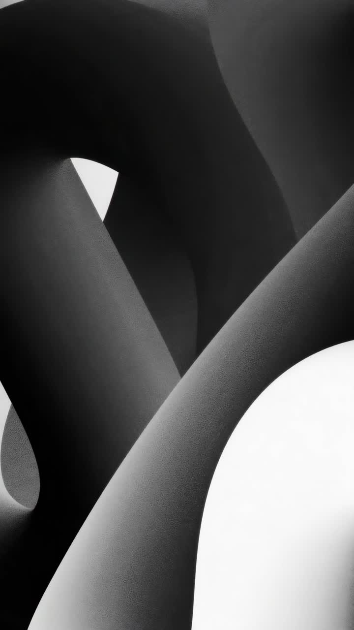 Concetto di video astratto con curve bianche e nere fluide e uniformi