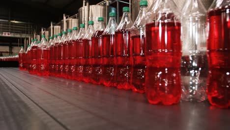 Bottles-moving-in-production-line