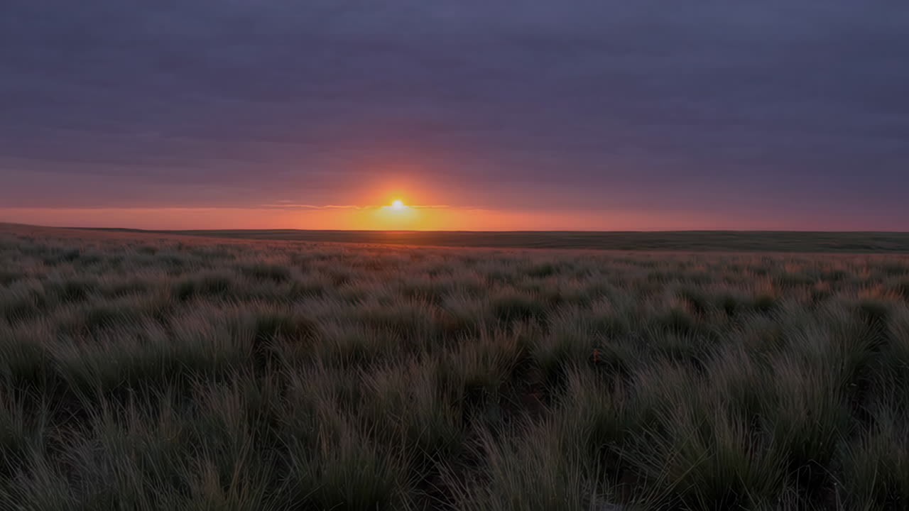 잔디 위 에 해가 지는 것