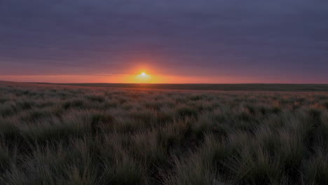 sunset over a grassy field