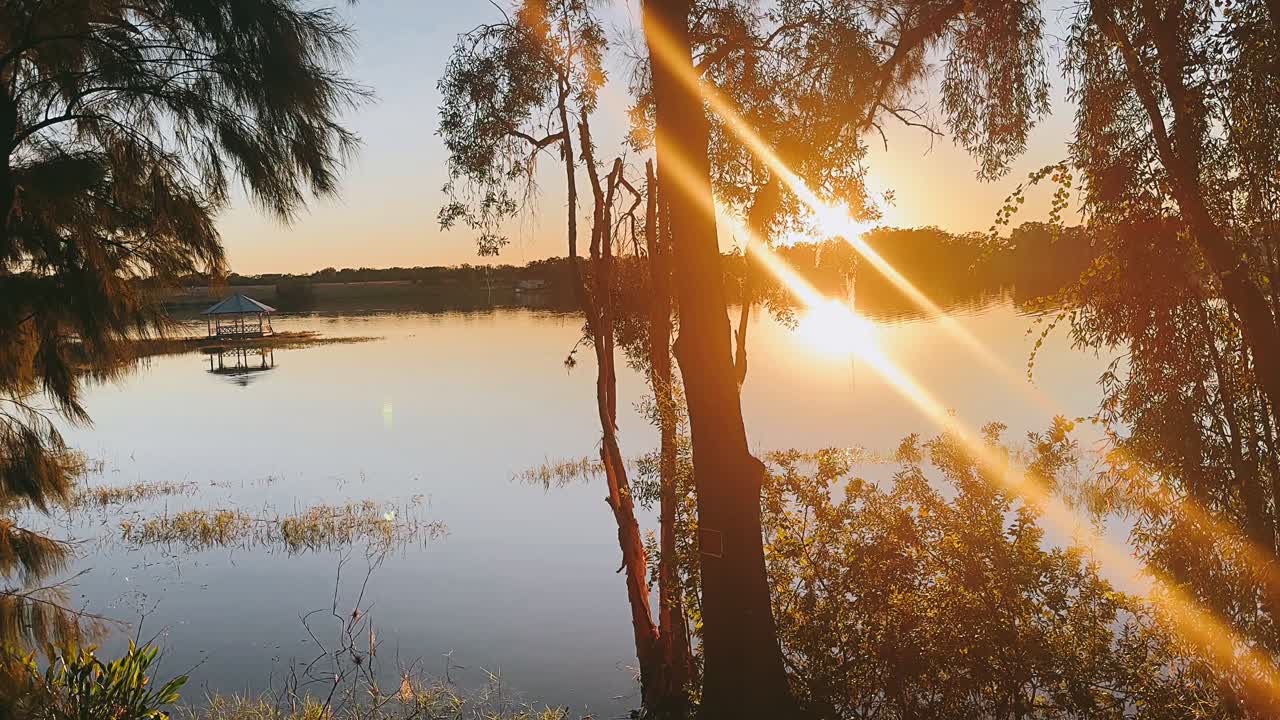 나무 와 가제보 가 있는 호수 위 에 해 가 지는 것