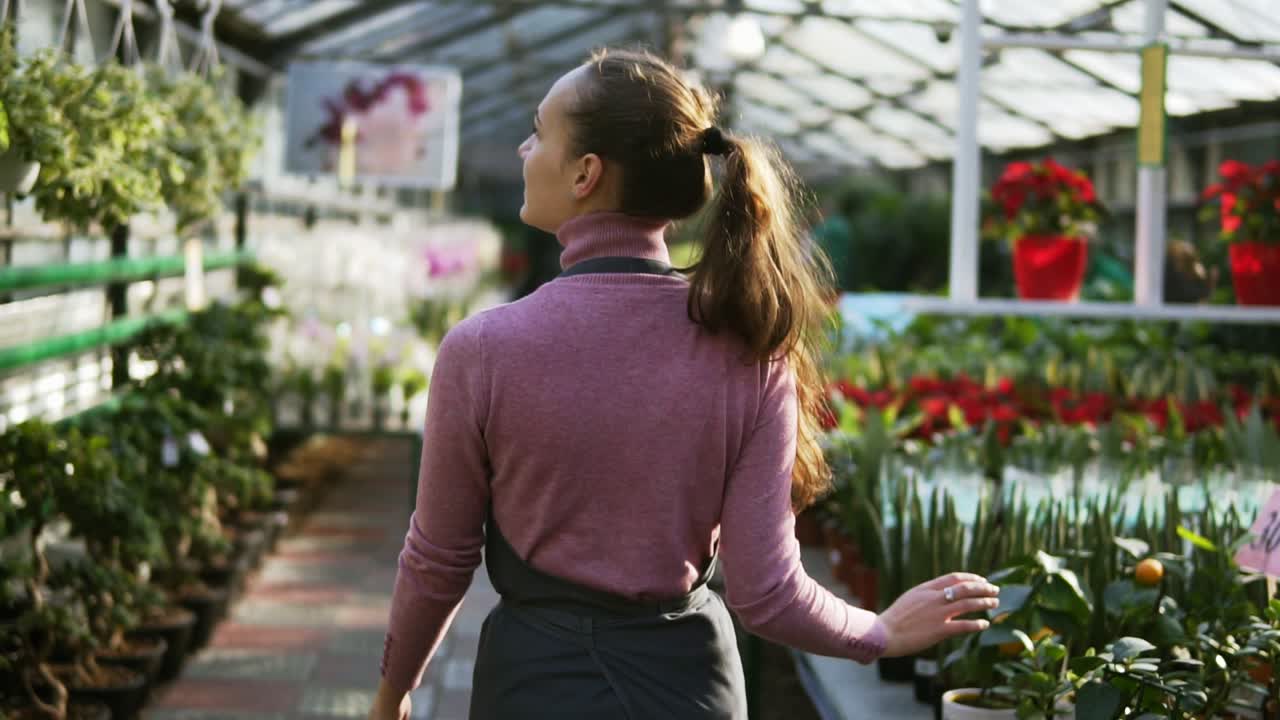 vista posterior de una florista tocando las hojas de diferentes plantas mientras camina entre las filas de flores en una floristería o invernadero. disparo en cámara lenta