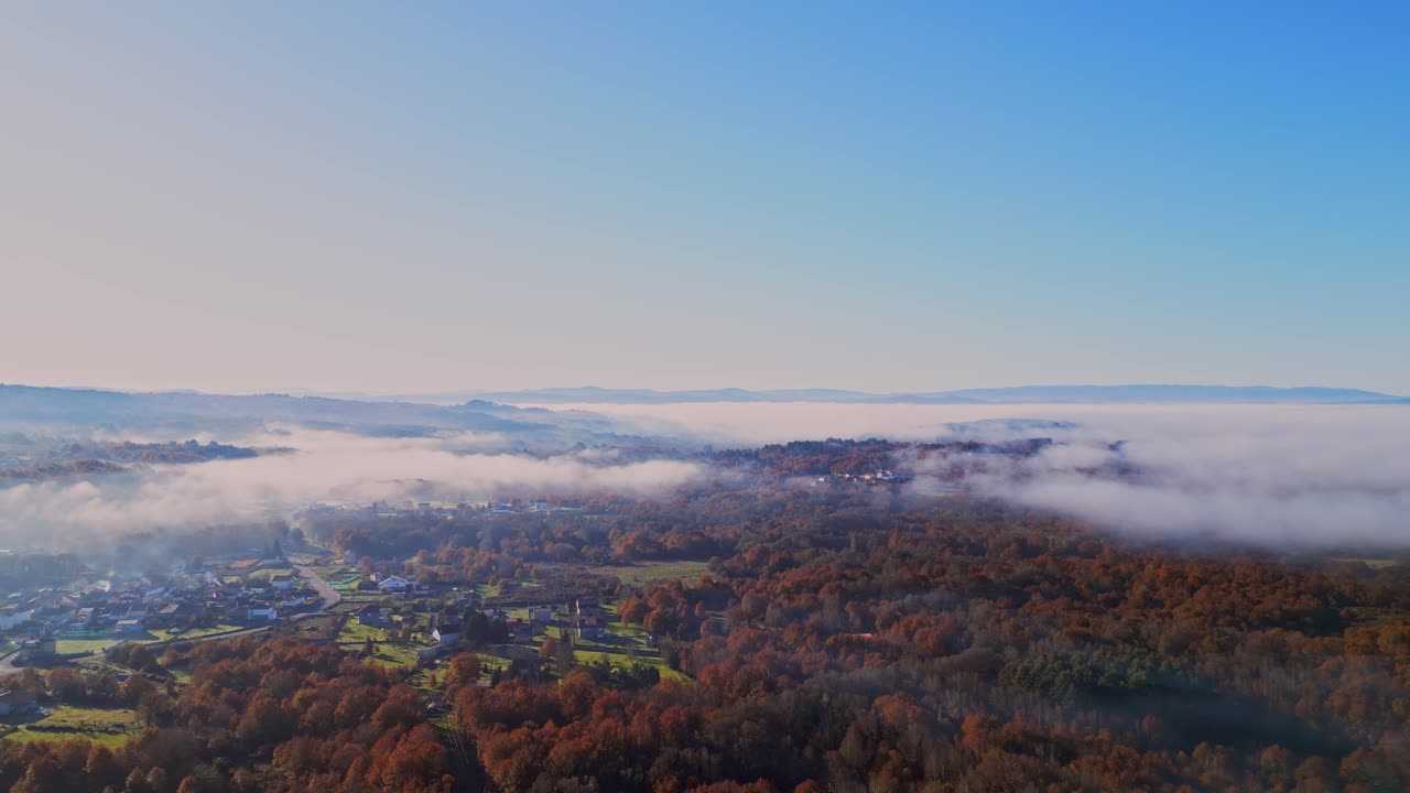 disparo aéreo de niebla sobre un gran bosque en un día soleado acercándose a un pueblo