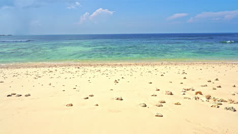 vista estática de la hermosa playa de arena de la isla salvaje con piedras en un día soleado