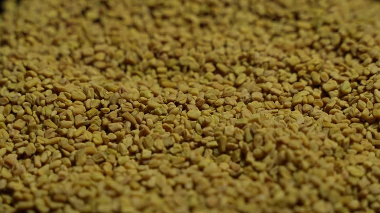 Fenugreek is a beneficial food for diabetes