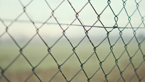 Macro-View-Of-Wire-Mesh-Fence-At-Garden-During-Sunrise