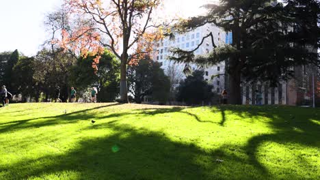 la luz del sol brillante sobre el parque verde en melbourne