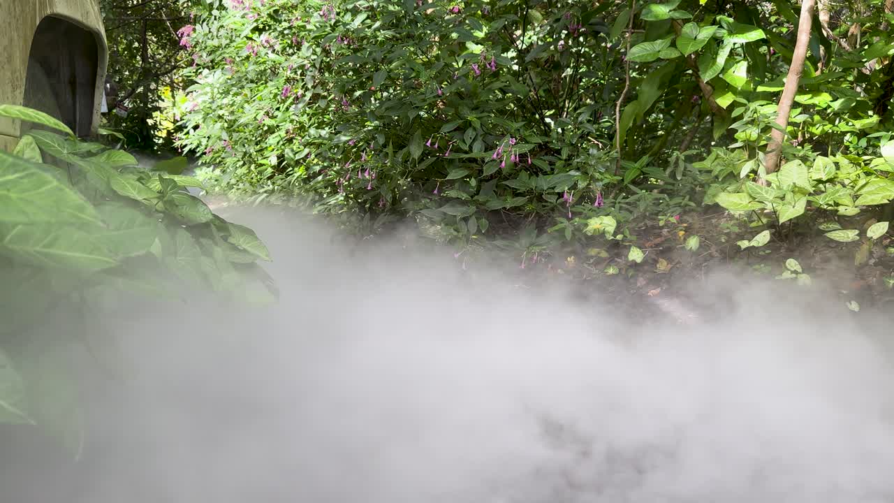 Thick white smoke drifts across a green garden, natural daylight, static wide shot, tranquil mood