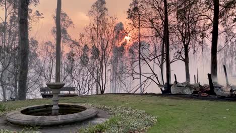 A-water-sink-sits-in-front-of-tall-trees