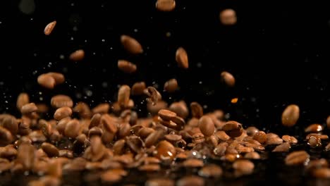 roasted coffee beans falling on water 4k