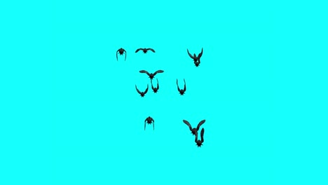 100 palomas volando en el fondo azul fácil de quitar la parte de atrás para vfx y animación, vista de atrás