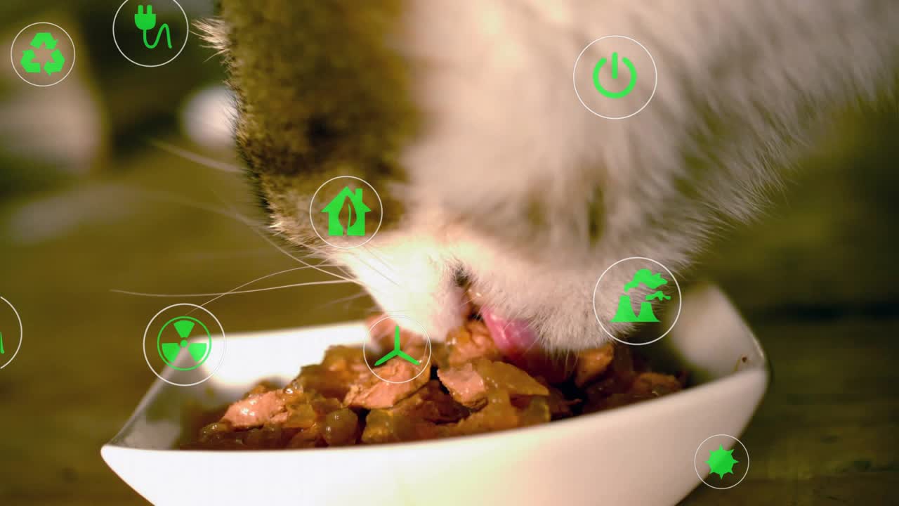 Nase berührt Napf, wodurch Symbole verblassen, während eine Katze Nassfutter schnüffelt und frisst und Öko-Symbole wirbeln.