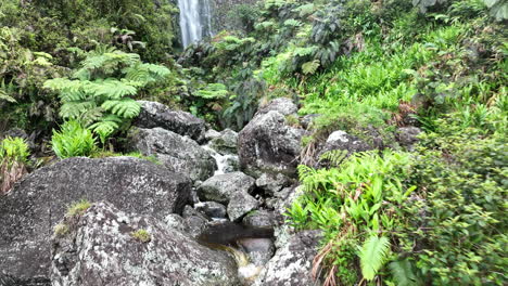 hermosos arroyos de cascada que fluyen