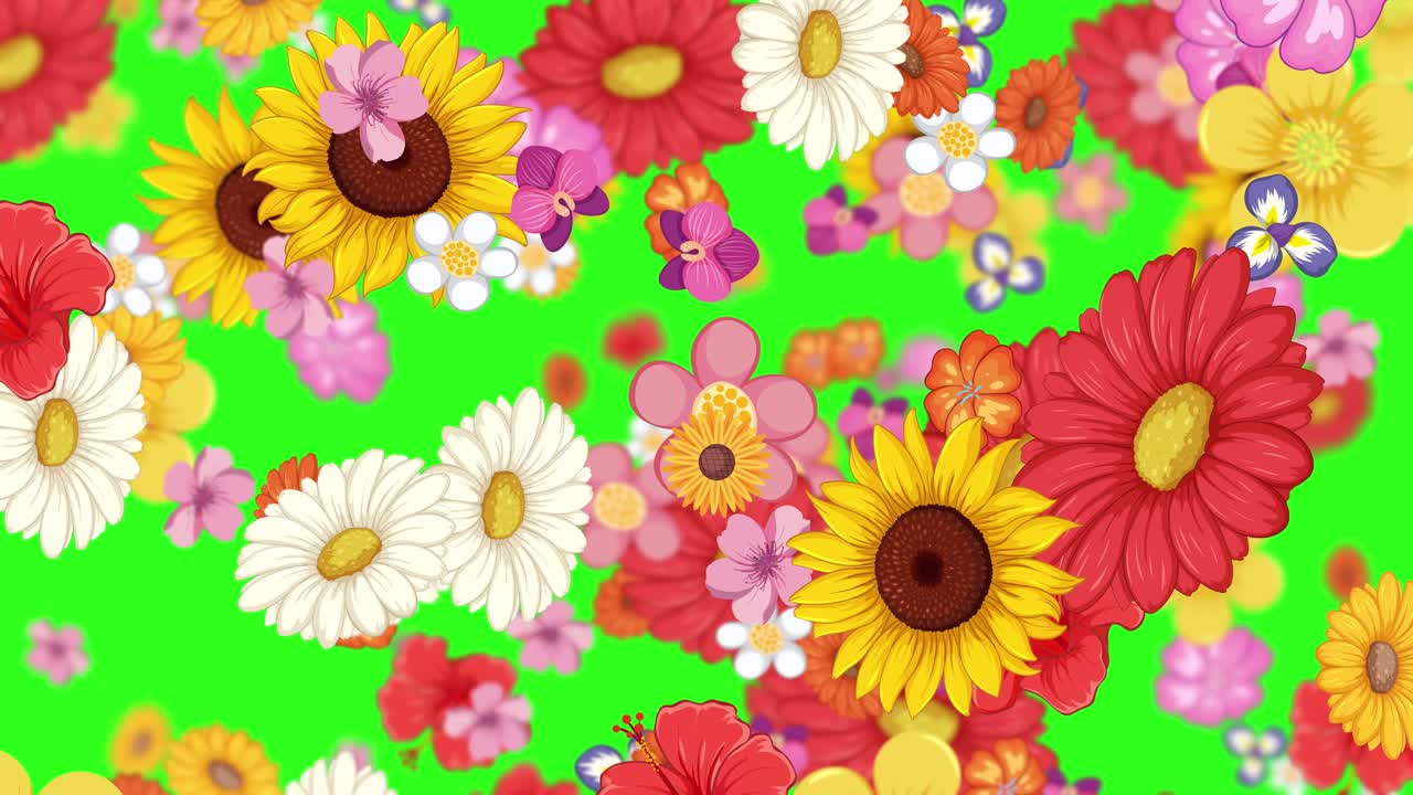 flores vibrantes girando en un fondo verde