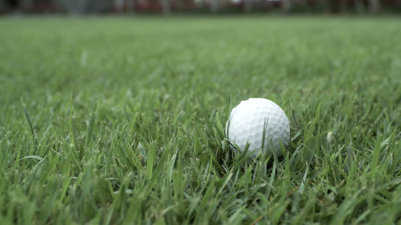 Golf club hits a white golf ball in a super slow motion. Drops of morning dew and grass particles rise into the air after the impact. Shot on super slow motion camera 1000 fps.