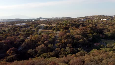 Rising-drone-shot-of-forest-landscape-at-sunset-time-in-Mexico