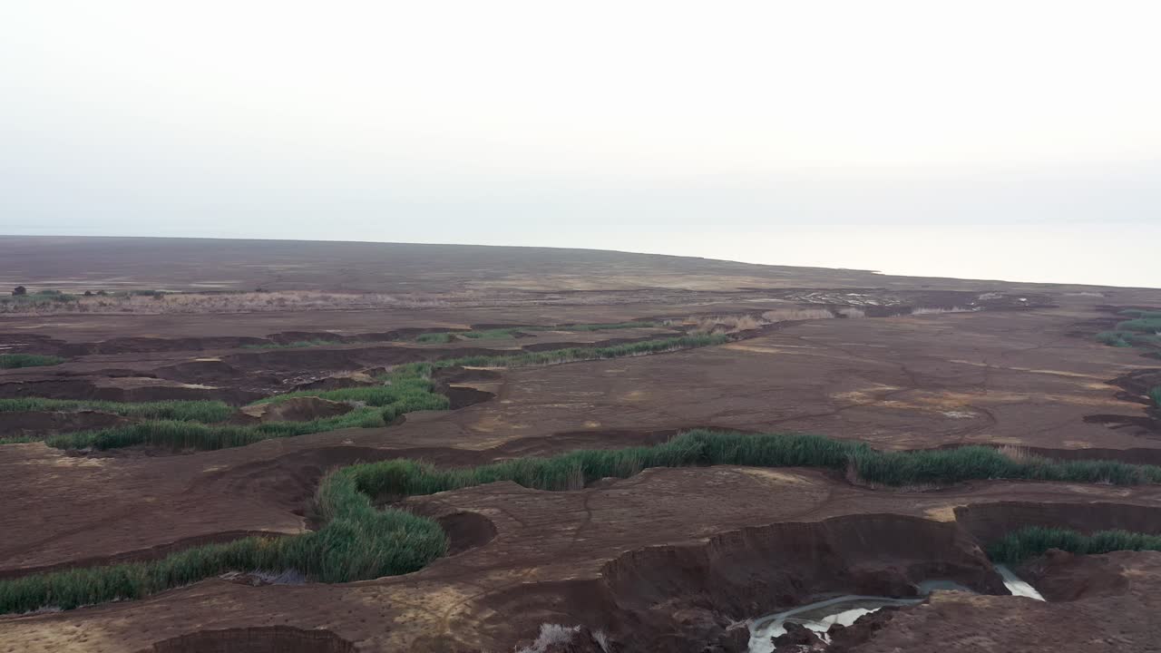 toma aérea grietas marrones del desierto llenas de vegetación verde, toma de drones