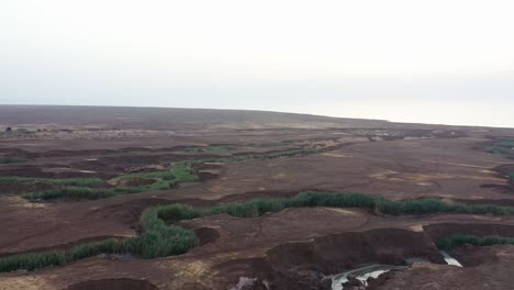 Luftaufnahme-Braune-Wüstenrisse-Gefüllt-Mit-Grüner-Vegetation,-Drohnenaufnahme