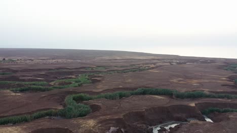 aerial shot brown desert cracks filled with green vegetation, drone shot